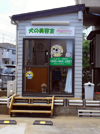 千葉県山武市の犬の美容室 マミー トリミングファン