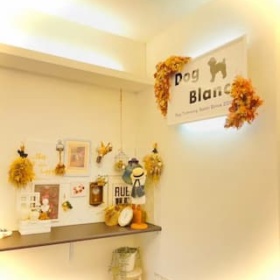 Dog Blancの店内