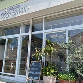 DOGSALON Dog＆Smallのガラス張りて店舗