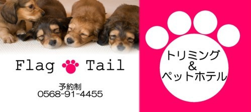 愛知県春日井市のフラッグテール春日井 トリミングファン 愛知県春日井市のフラッグテール春日井 トリミングファン