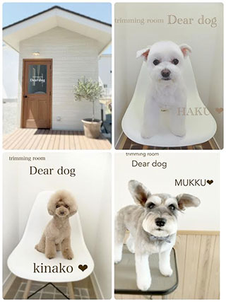 群馬県伊勢崎市のtrimming Room Dear Dog トリミングファン