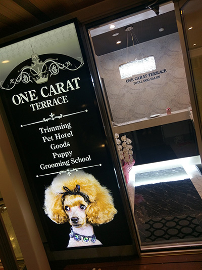 群馬県前橋市のone Carat Terrace トリミングファン