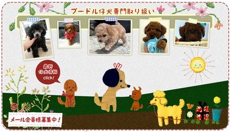 岡山県高梁市のDoggarden（ドッグガーデン） | トリミングファン