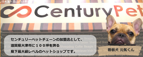 滋賀県大津市のセンチュリーペット フォレオ大津一里山 トリミングファン