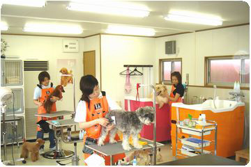 新潟県五泉市の犬のお風呂屋さん Happy Spa トリミングファン