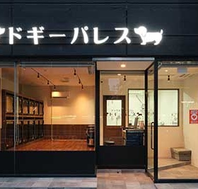 黒の壁とのコントラストが美しい店内