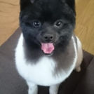 ご自宅でカットした秋也ちゃん