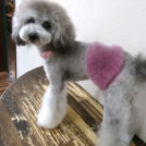 salon de biancaでカットしたれいなちゃん