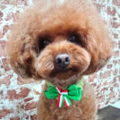 salon de biancaでカットしたナルくん