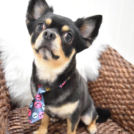 alice houseでカットした冠葉くん