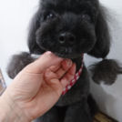 ジュリアちゃん