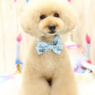 ジャンティくん