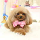 ジュジュちゃん