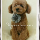 しゅうすけちゃん