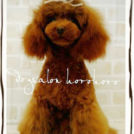 シャネルちゃん