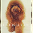 シャネルちゃん