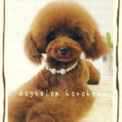 ショコラちゃん