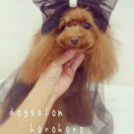 シャネルちゃん