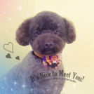 もこたろうくん