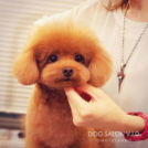 マリウスちゃん