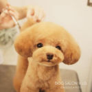 .V.I.D.表参道でカットしたはんたくん