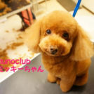 ミッキーちゃん