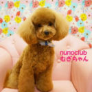 ヌーノクラブ西新宿店でカットしたむぎちゃん