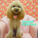 ヌーノクラブ西新宿店でカットしたやまだちゃん