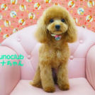 ヌーノクラブ西新宿でカットしたりなちゃん