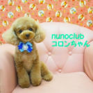 ヌーノクラブ西新宿でカットしたコロンちゃん