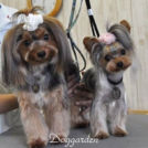 ここ&まりんちゃん