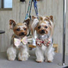 ありす&まりあちゃん