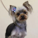 イケメンつよしくん