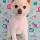 手間なしサマースタイル