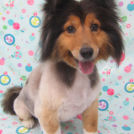 夏もお洒落顔で!