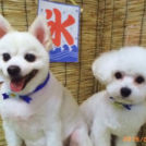 翔太くんと龍くん