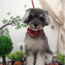 ミ・ミューちゃん