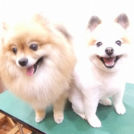 もすけちゃん&もみじちゃん