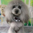 salon de biancaでカットしたれいなちゃん