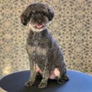 とにかく短くしたい!という方に。