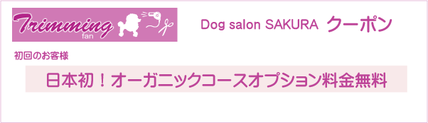愛知県名古屋市昭和区のDog salon SAKURAのクーポン券