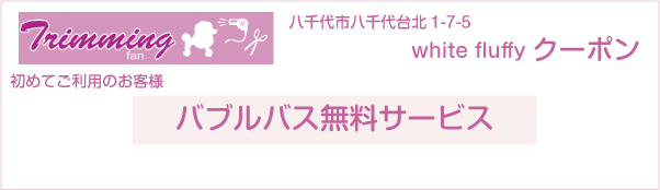 千葉県八千代市のwhite fluffyのクーポン券