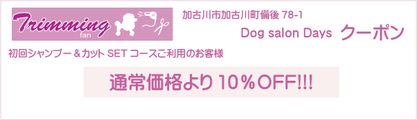 兵庫県加古川市のトリミングサロン Dog salon Daysのクーポン券