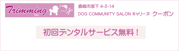 茨城県鹿嶋市のトリミングサロン DOG COMMUNITY SALON キャリーヌのクーポン券