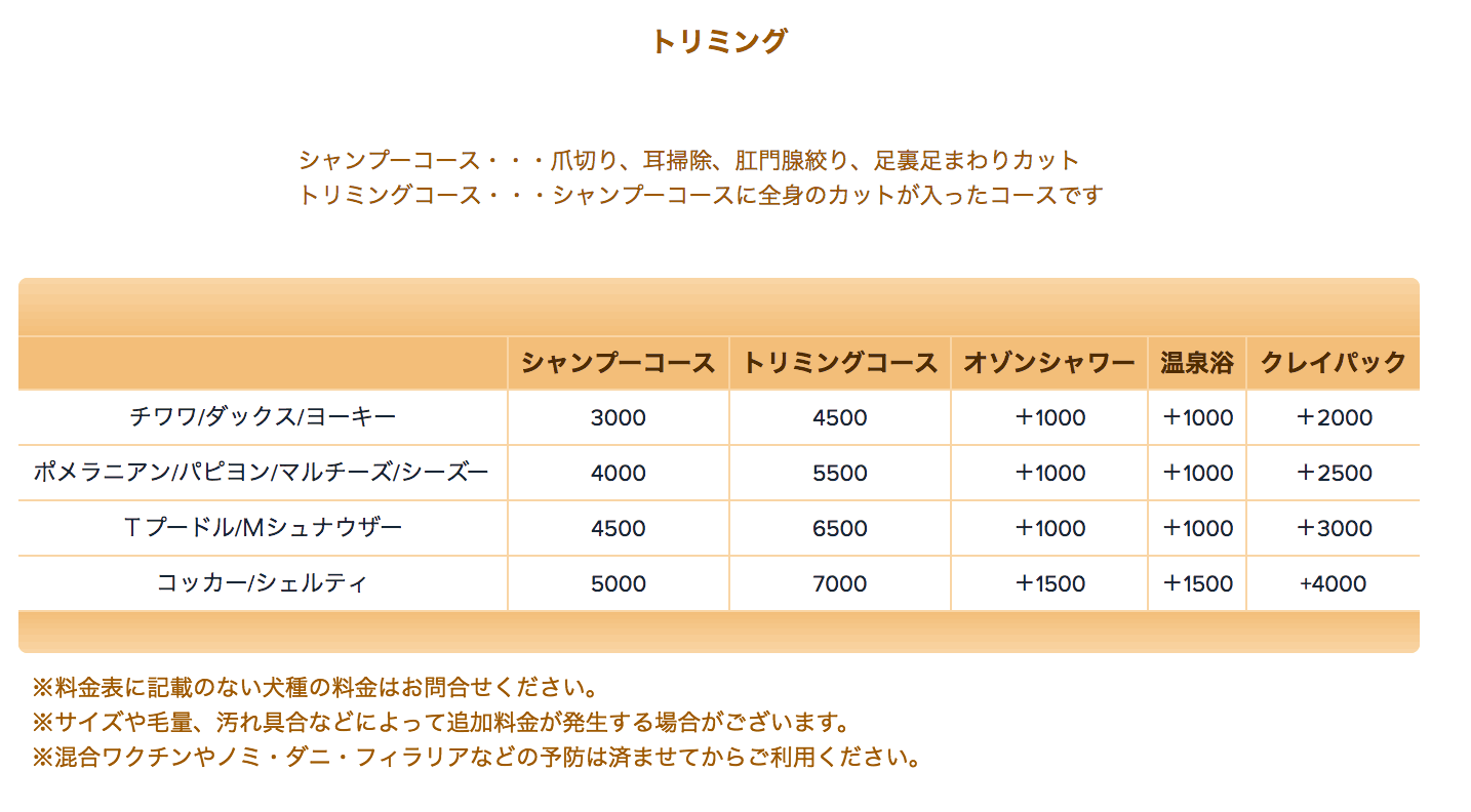 トイプードルとミニチュアシュナウザーのトリミングコースは6500円