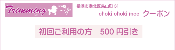 神奈川県横浜市のトリミングサロン choki choki meeのクーポン券