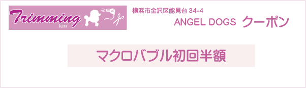 横浜市のトリミングサロン ANGEL DOGSのクーポン券