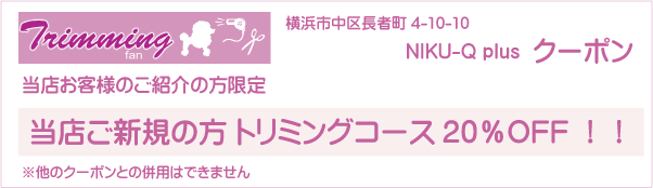 神奈川県横浜市中区のトリミングサロン NIKU-Q plusのクーポン券