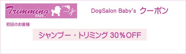 川崎市のトリミングサロン DogSalon Baby'sのクーポン券