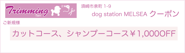 高知県須崎市のトリミングサロン dog station MELSEAのクーポン券